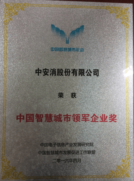 中國智慧城市領軍企業(yè)